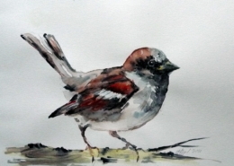 Vogel
