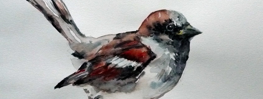 Vogel
